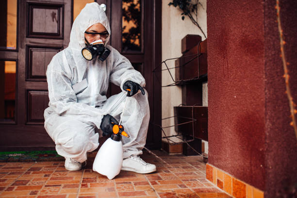 Reliable Cockroach Control contractor in Grangeville, ID by Nex Pest Control