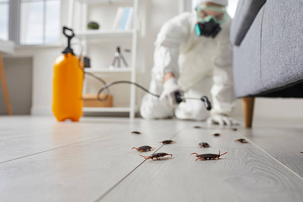 Trusted Fumigation Services service in Grangeville, ID - Nex Pest Control