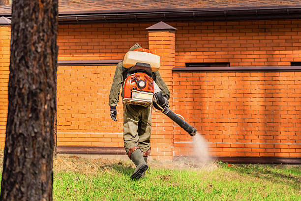 Trusted Cockroach Control service in Grangeville, ID - Nex Pest Control